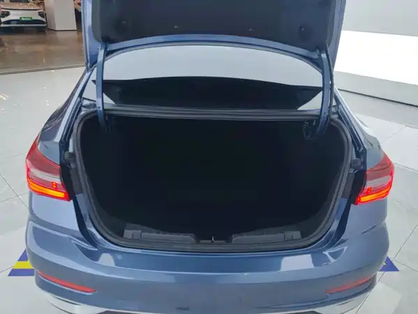 Ford Escort 2021