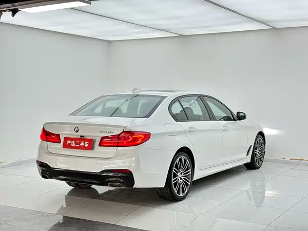 BMW 5 Series 2019