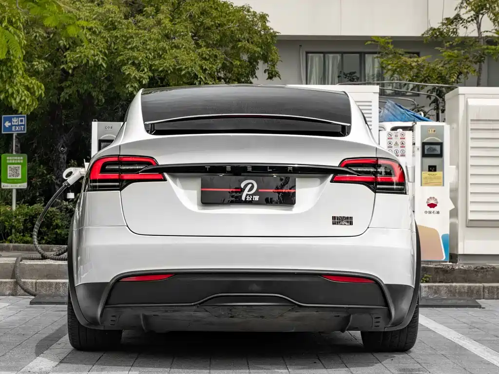 Tesla Model X 2023 — фото 5