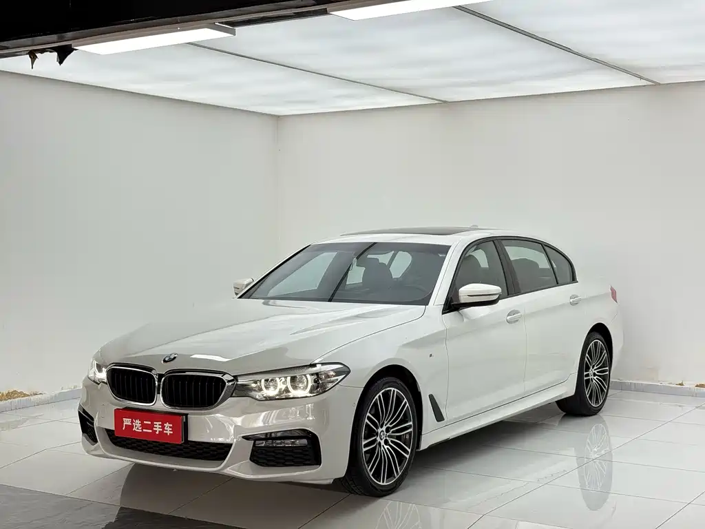 BMW 5 Series 2019
