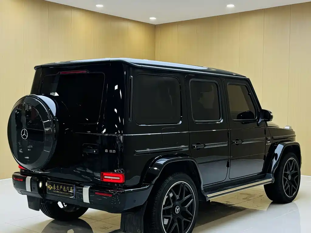 Mercedes-Benz G-Class 2024 — фото 16