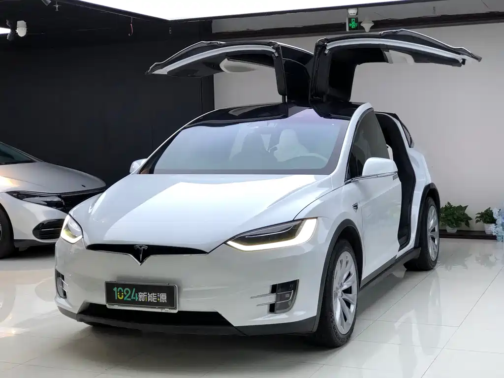 Tesla Model X 2019 — фото 1