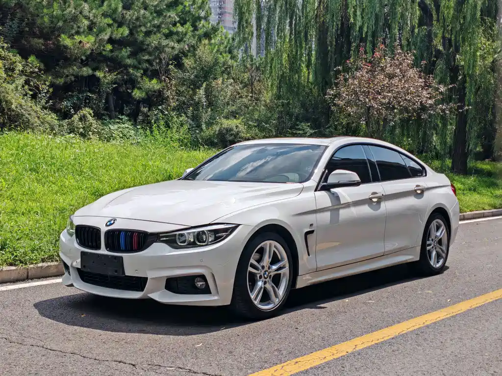 BMW 4 Series 2018 — фото 1
