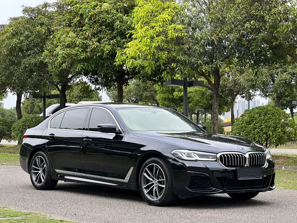 BMW 5 Series 2021 — фото 2