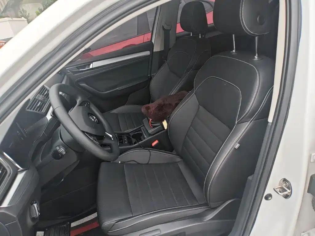 Skoda Speedy 2024 — фото 15