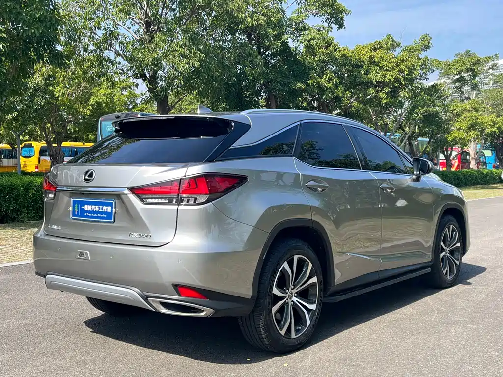 Lexus RX 2020 — фото 9