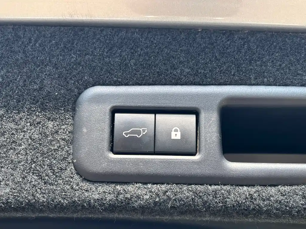 Lexus RX 2020 — фото 12