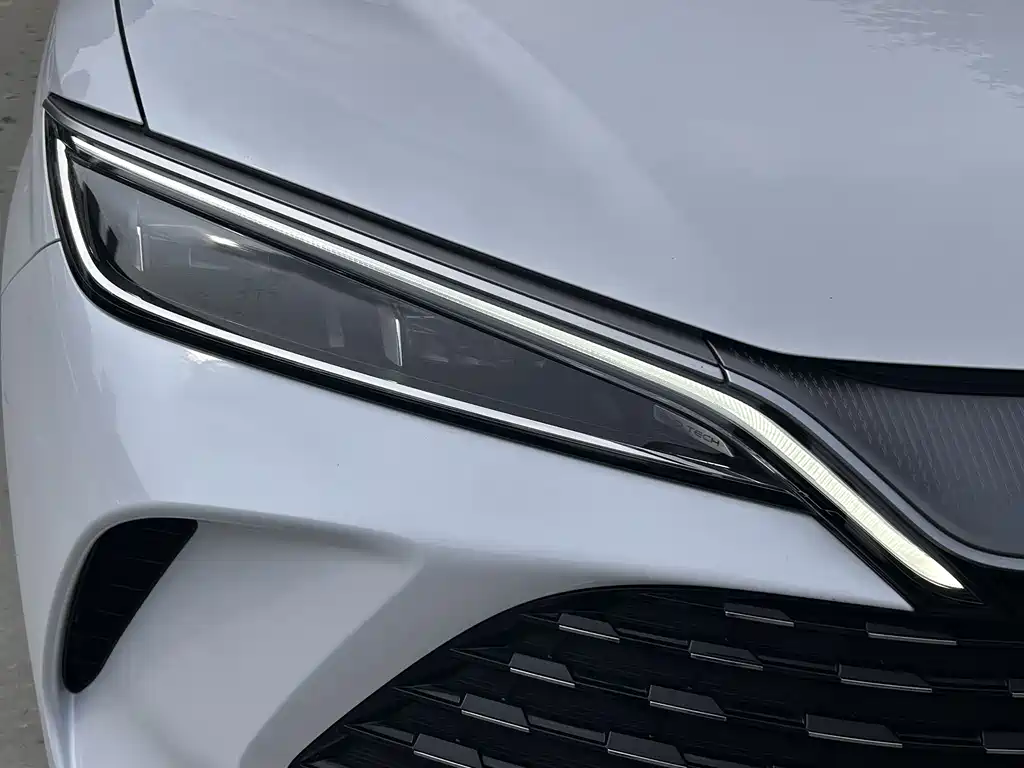 BYD L DM-i 2025 — фото 10
