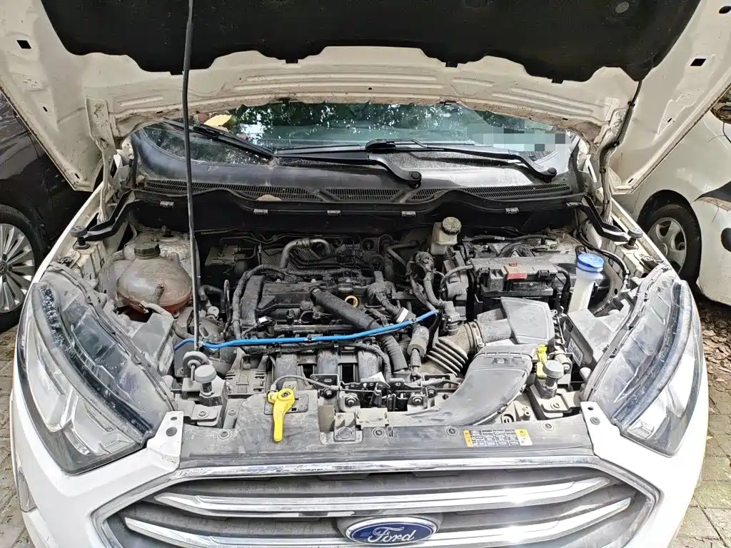 Ford Ecosport 2018 — фото 16