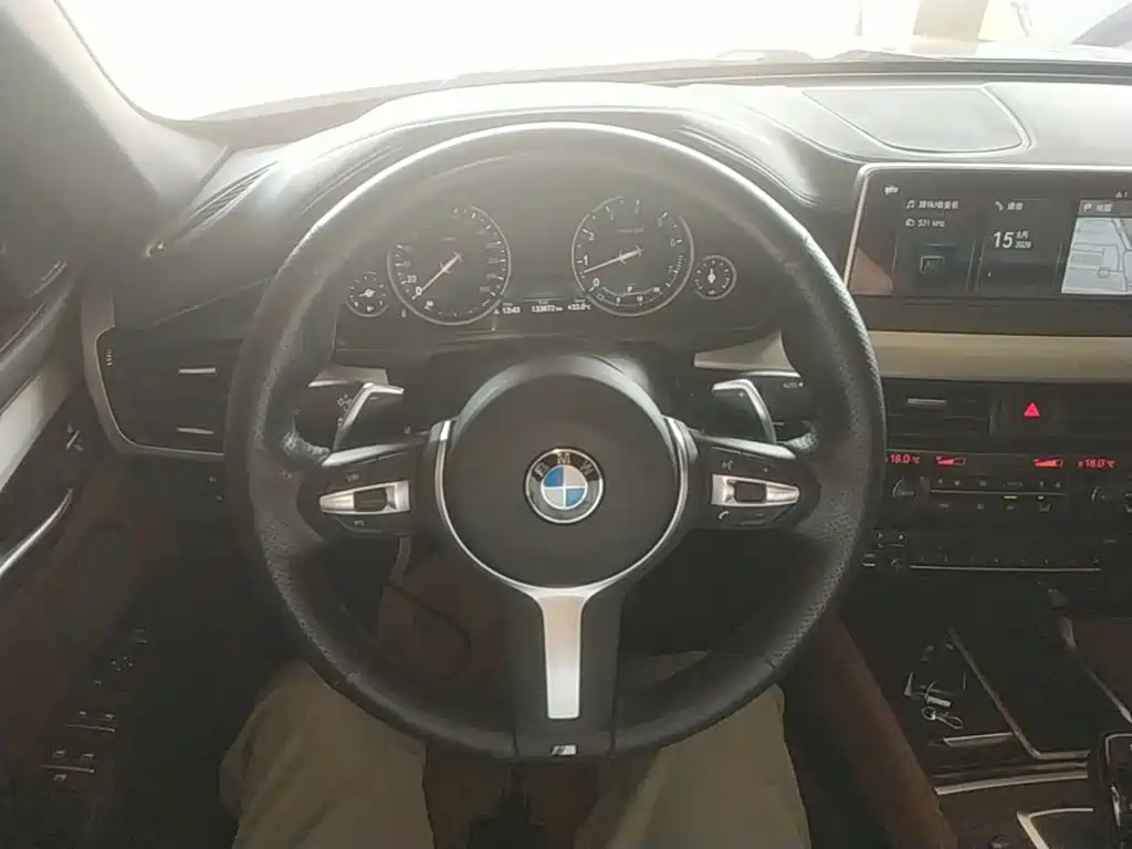 BMW X6 2019 — фото 11