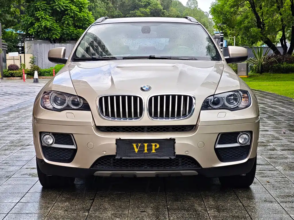 BMW X6 2014