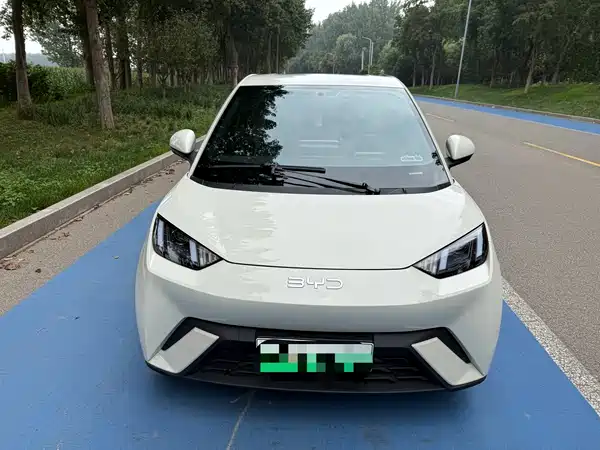 BYD Seagull 2024
