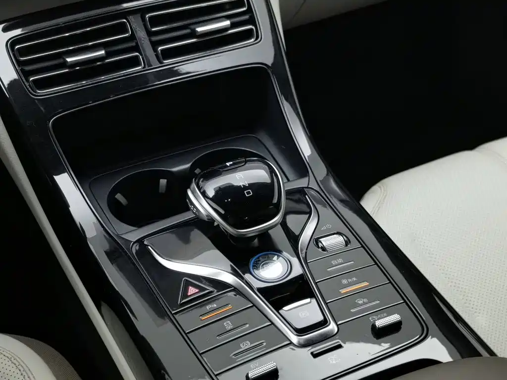 BYD Qin PLUS 2024 — фото 13