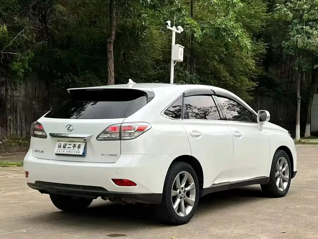 Lexus RX Classic 2010 — фото 10