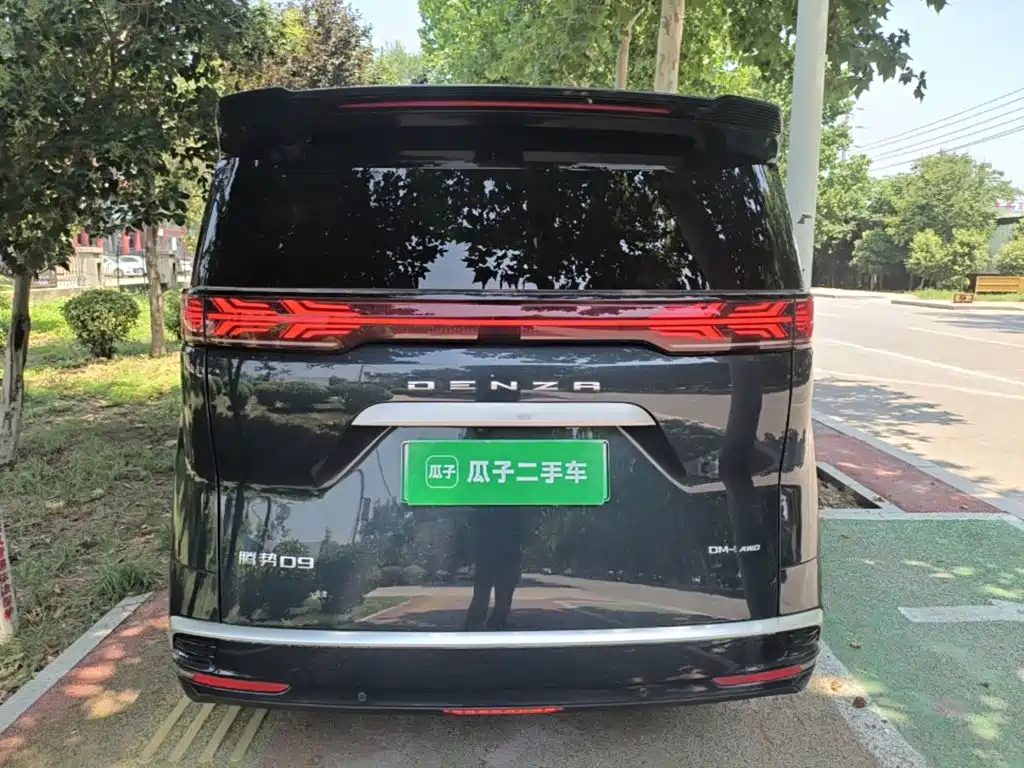 Denza D9 2024