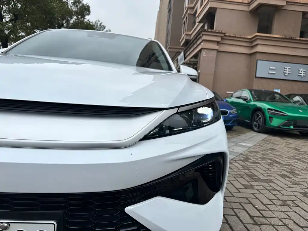 BYD Pro New Energy 2025 — фото 11