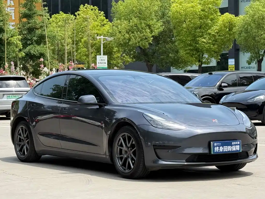 Tesla Model 3 2021 — фото 3
