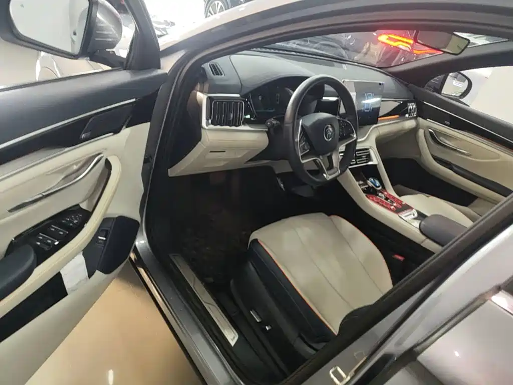 BYD Song PLUS New Energy 2022 — фото 16