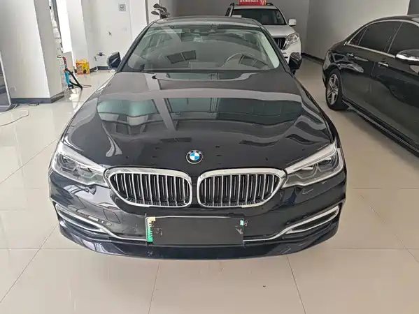 BMW 5 Series New Energy 2020