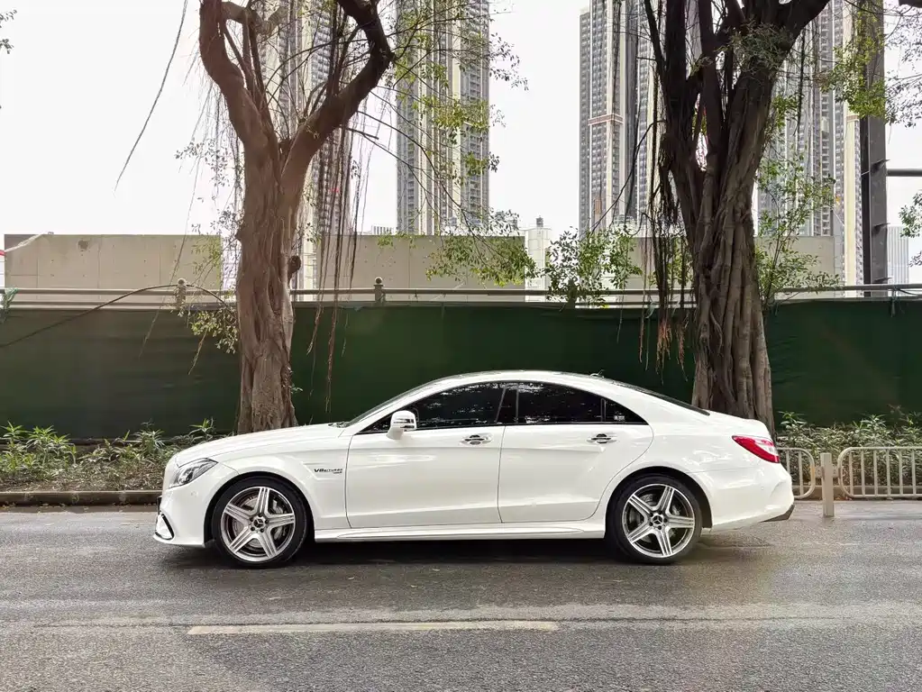 Mercedes-Benz CLS AMG 2016 — фото 3