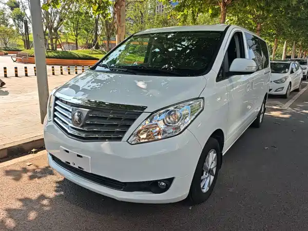 Dongfeng Lingzhi PLUS 2021