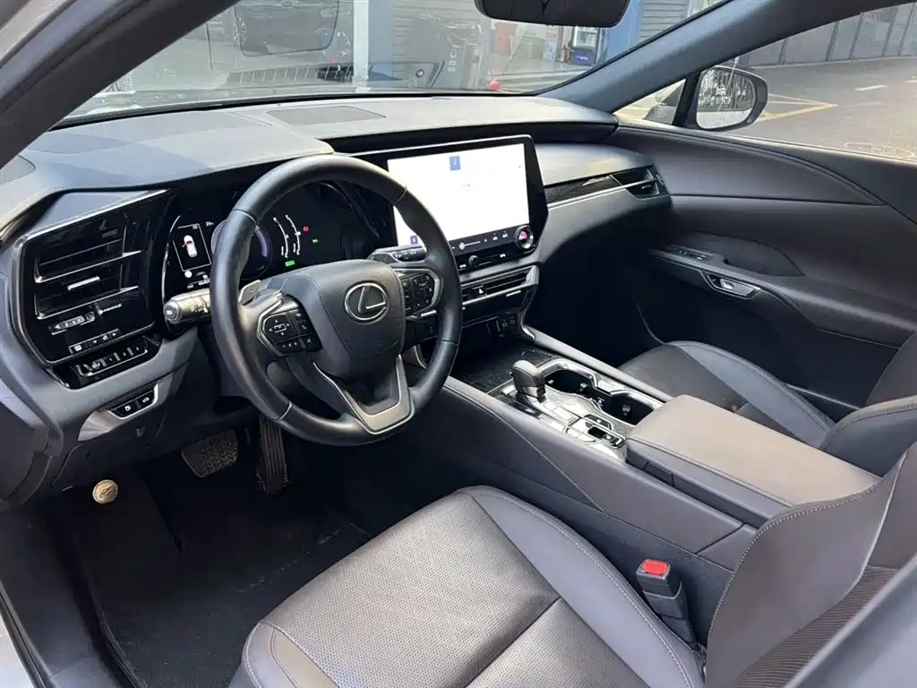 Lexus RX 2023 — фото 10