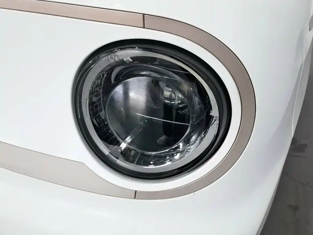 Galaxy Panda 2023