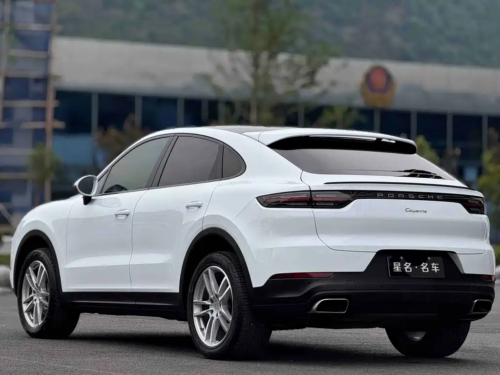 Porsche Cayenne 2020 — фото 12
