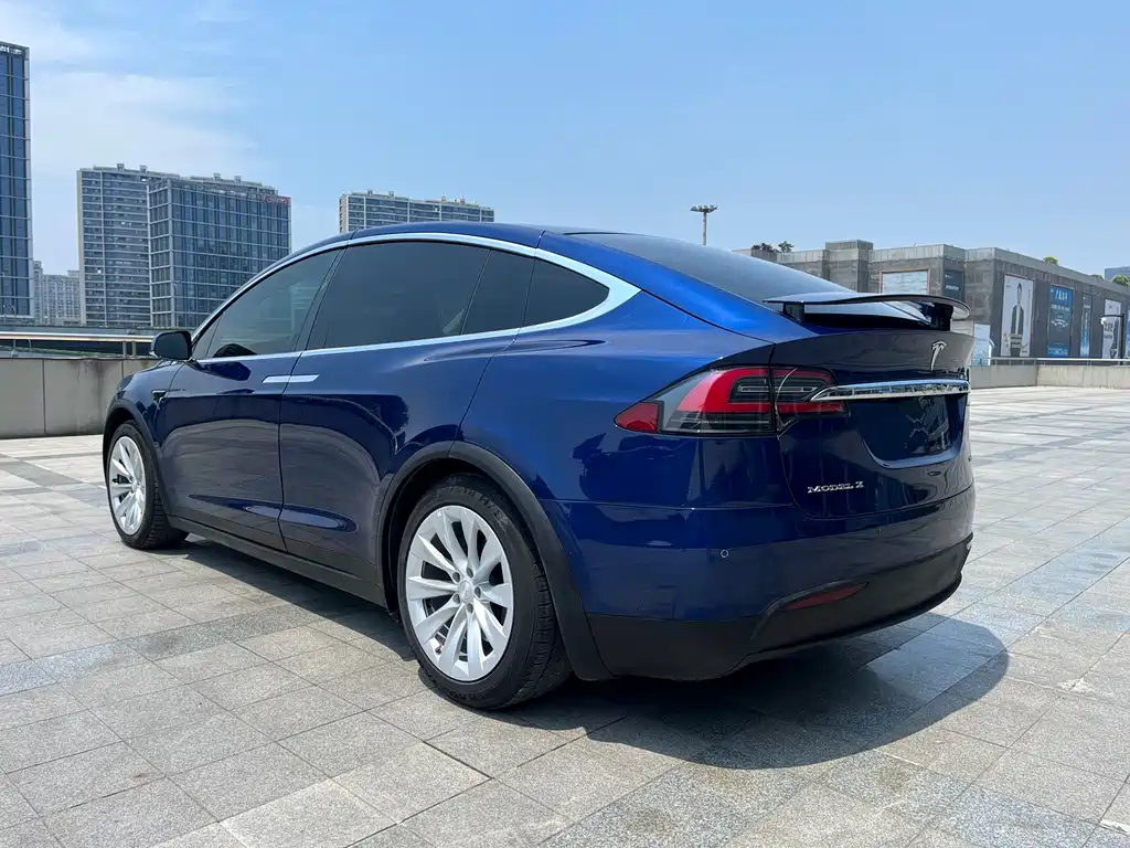 Tesla Model X 2017 — фото 7