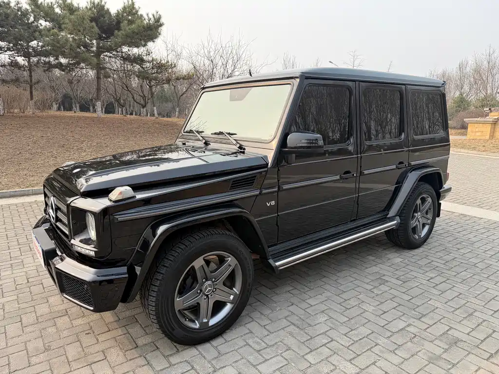 Mercedes-Benz G-Class 2016 — фото 1