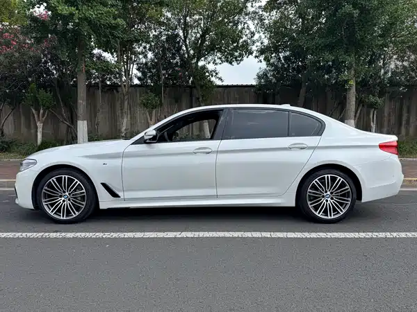 BMW 5 Series 2019