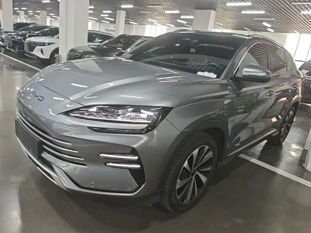 BYD PLUS New Energy 2024 — фото 1