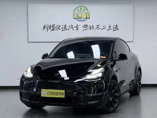 Tesla Model Y 2021
