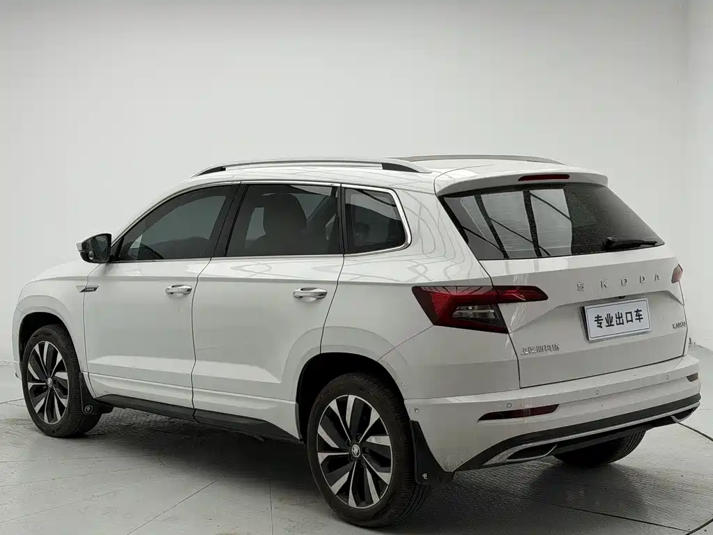 Skoda Karoq 2024 — фото 4