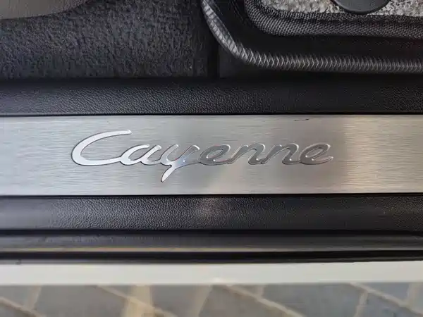 Porsche Cayenne New Energy 2020
