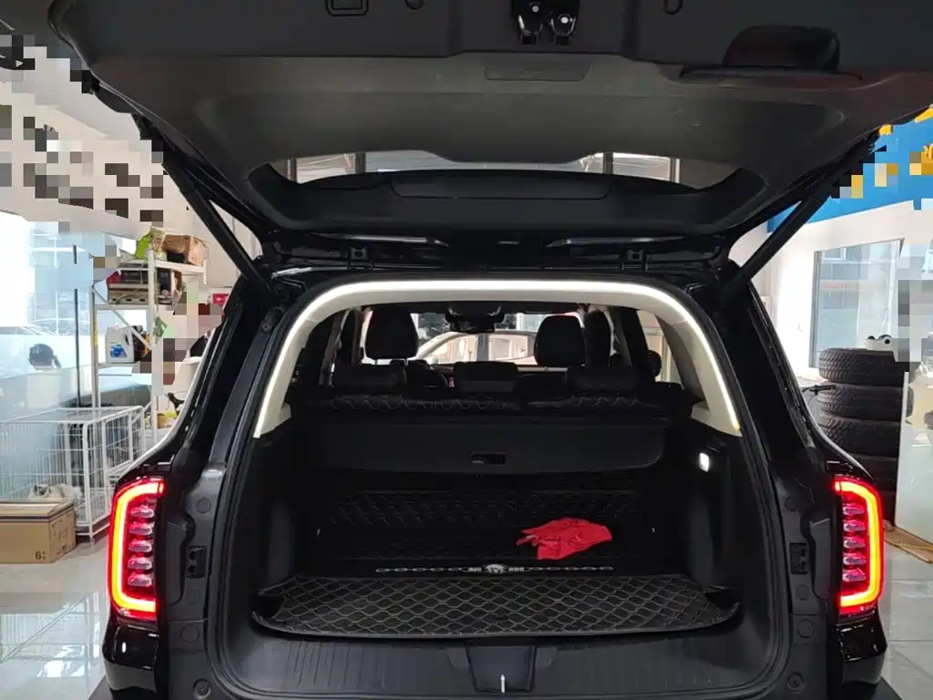 Haval Big Dog 2022 — фото 19