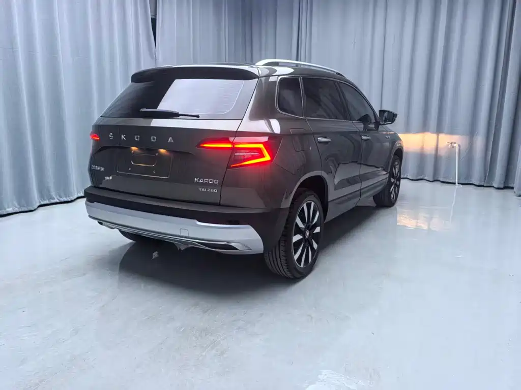 Skoda Karoq 2020 — фото 6