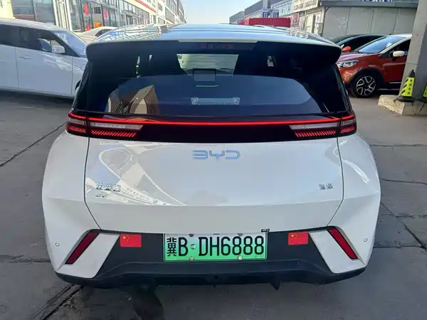 BYD Seagull 2024