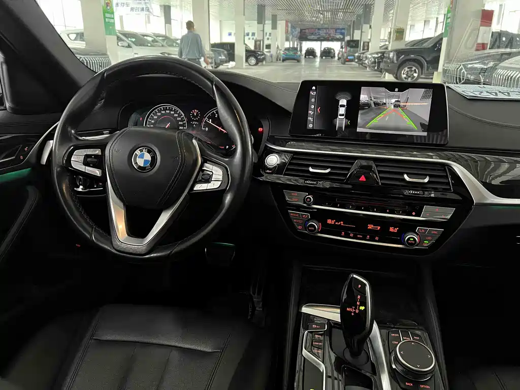 BMW 5 Series 2018 — фото 16
