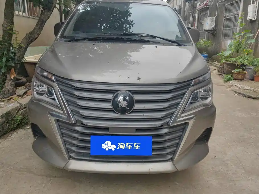 Fengxing Lingzhi 2025