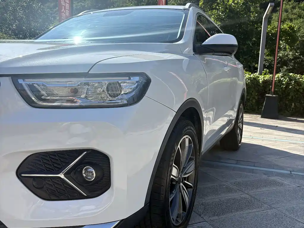 Haval H6 2021 — фото 10