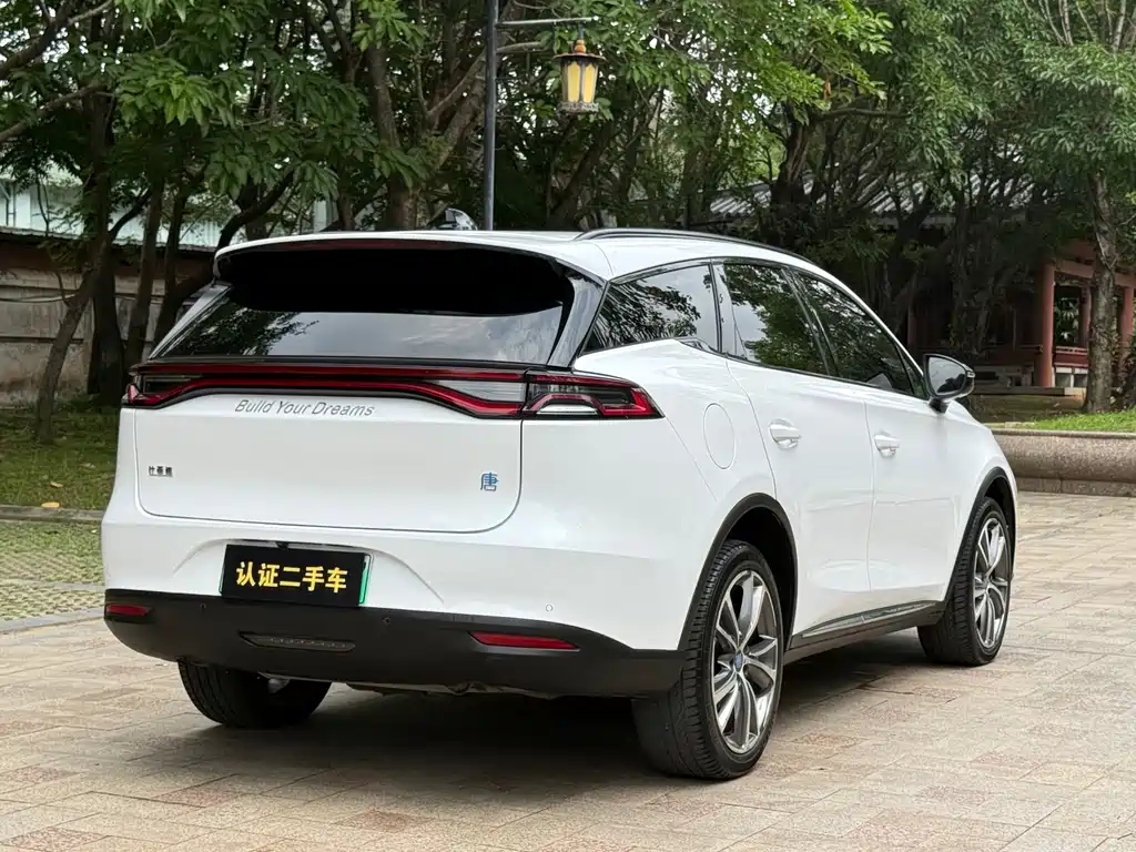 BYD Tang New Energy 2020 — фото 15