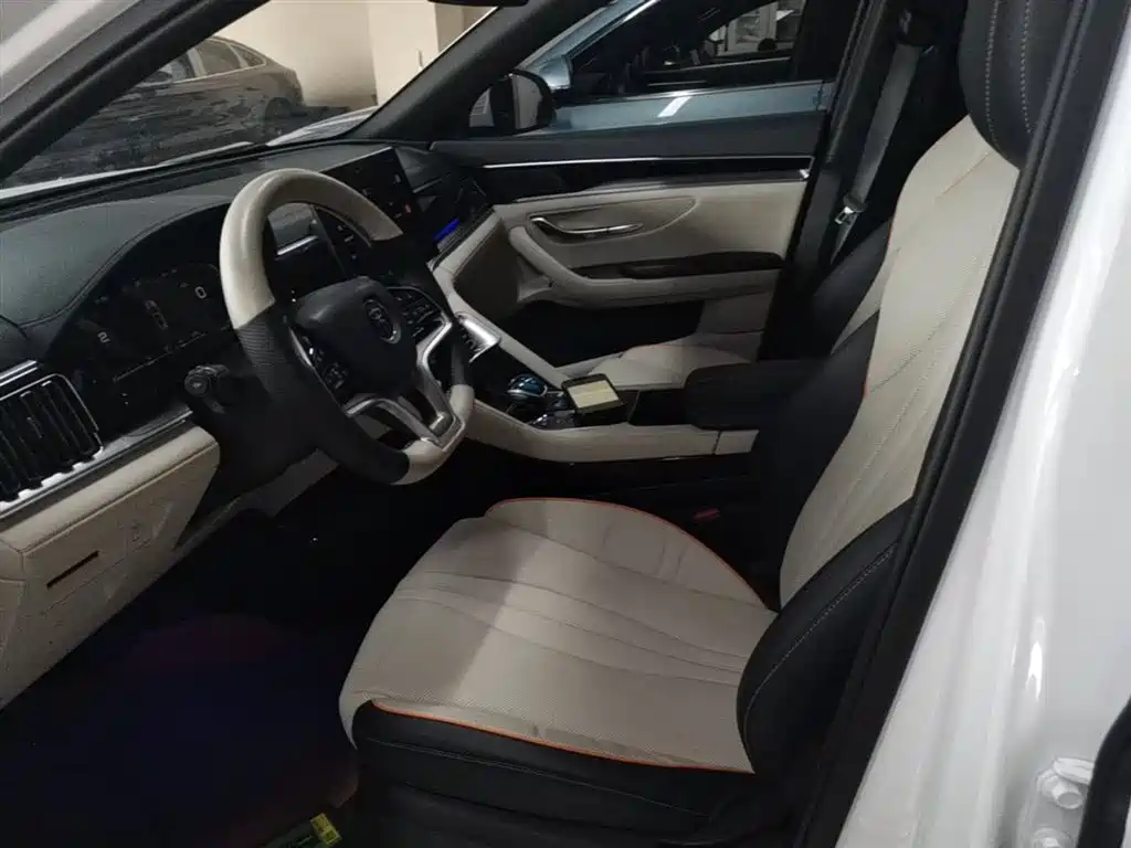 BYD PLUS New Energy 2023 — фото 15