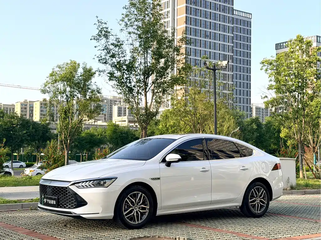 BYD Qin PLUS 2024 — фото 1