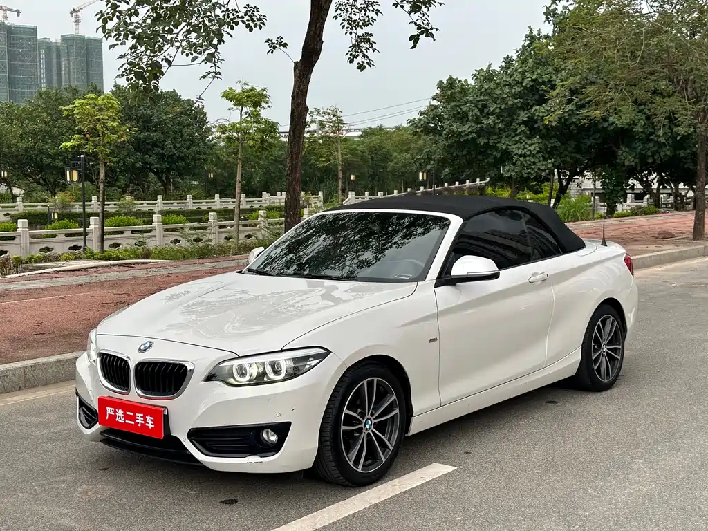 BMW 2 Series 2018 — фото 11