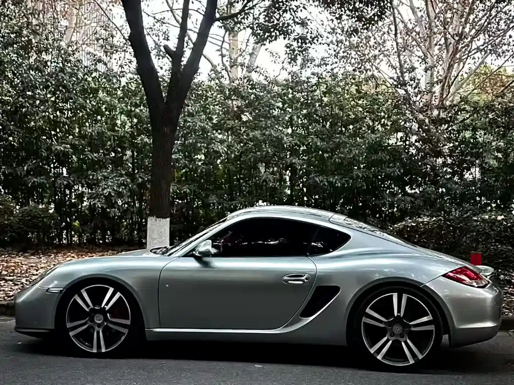 Porsche Cayman 2012 — фото 4