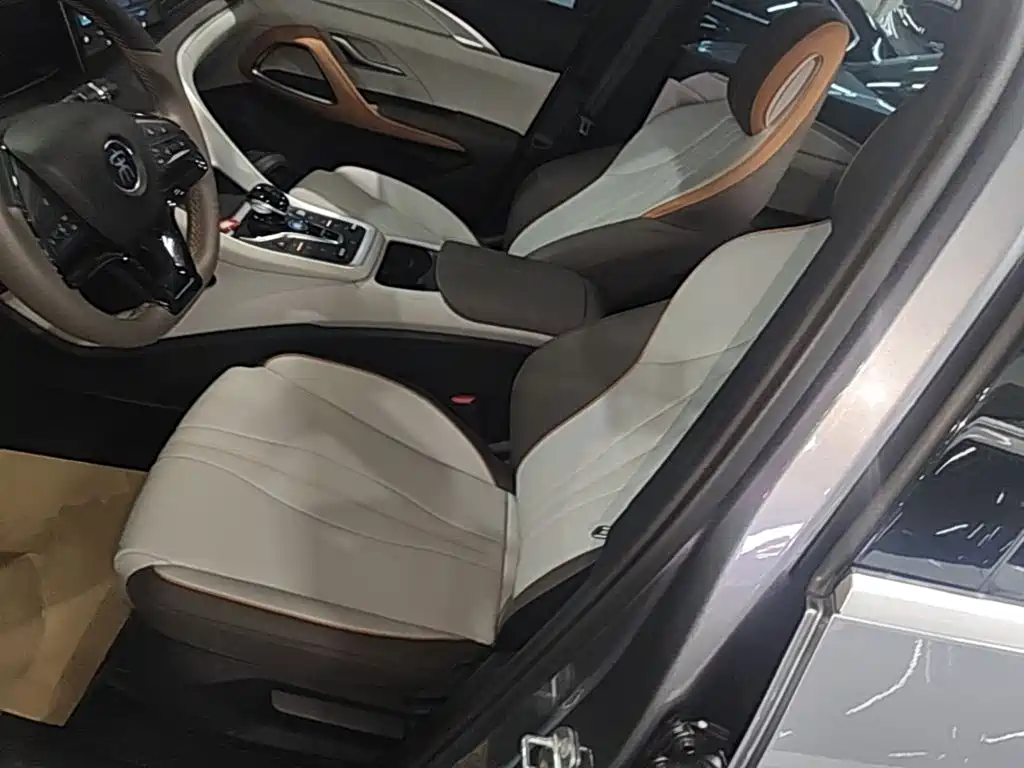 BYD Pro New Energy 2022 — фото 15