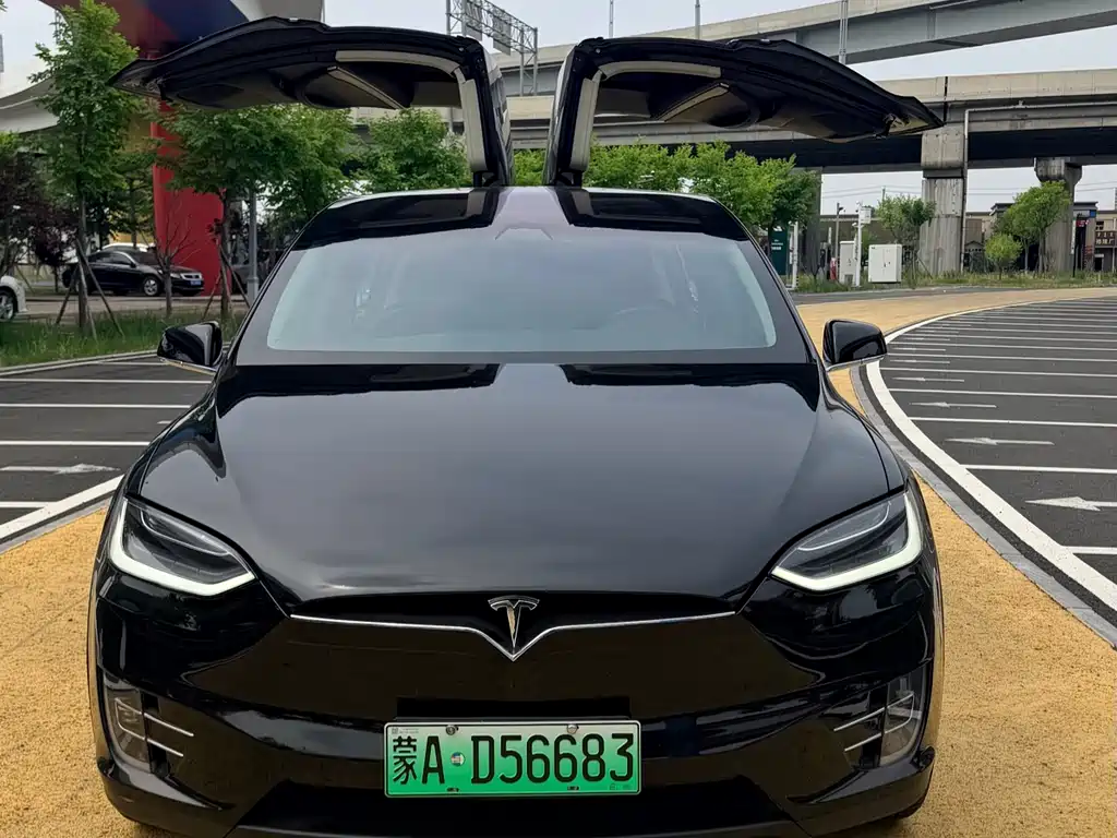 Tesla Model X 2019 — фото 7