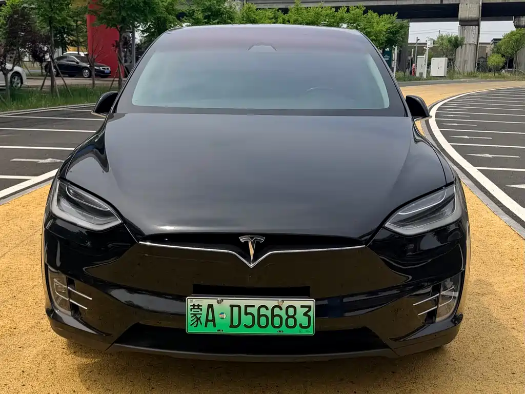 Tesla Model X 2019 — фото 2