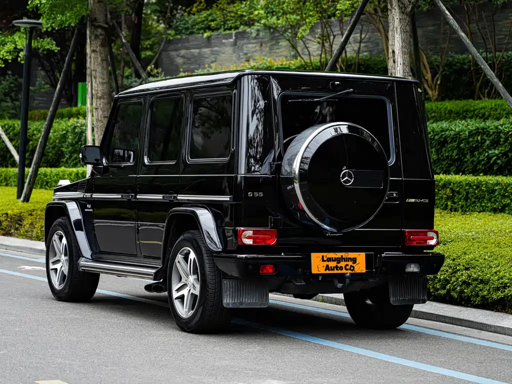 Mercedes-Benz G-Class AMG 2011 — фото 9